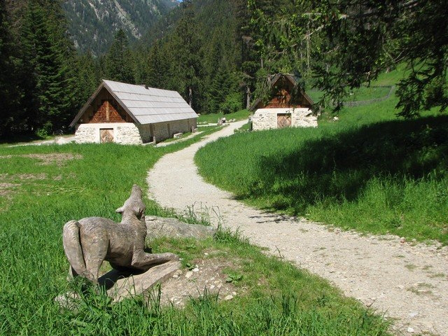 Parc Alpha