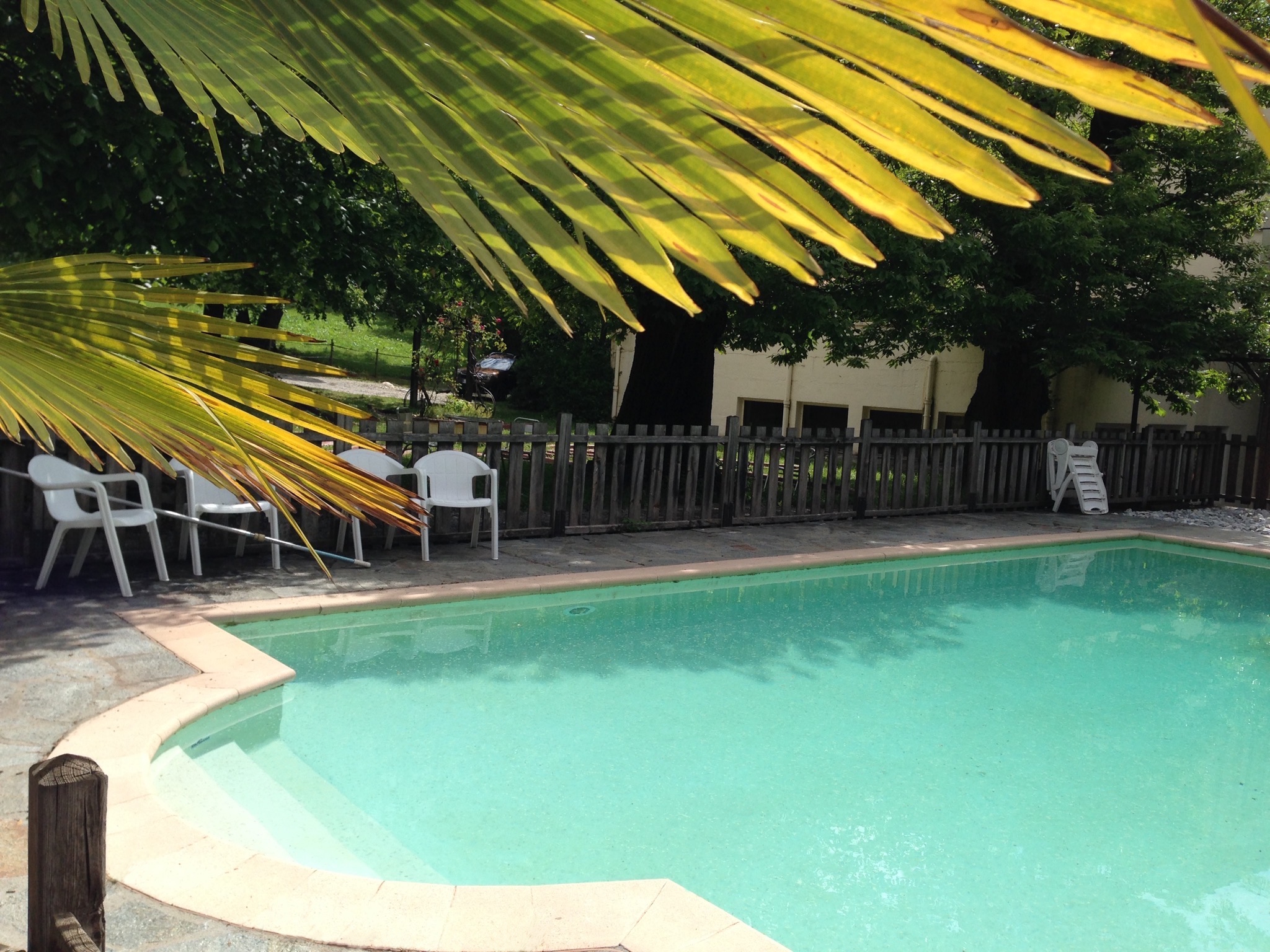 Vue sur la piscine